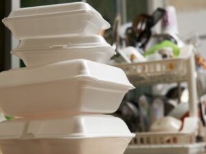 EcoLuxe Products, Sustainable, Sustainability, container, packaging, plastic, non biodegradable, plastic pollution, Chanelle Dupre