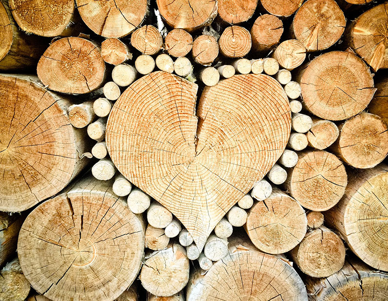 Heart Wood