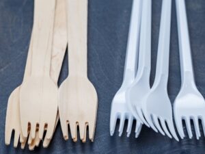 EcoLuxe Products, Sustainable, plastic, cutlery, Sustainability, Chanelle Dupre