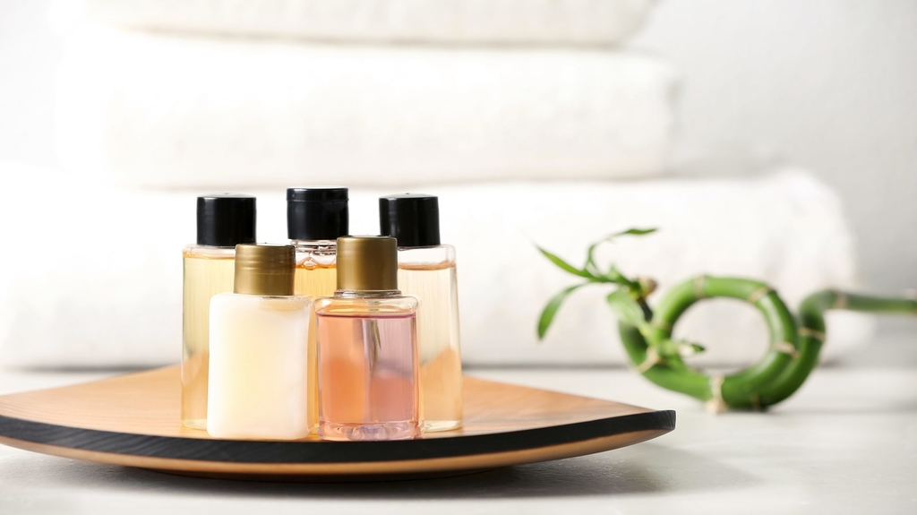 EcoLuxe Products, Sustainable, bamboo personal care, hotels, toiletries, plastic pollution, Sustainability, Chanelle Dupre