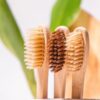 EcoLuxe Products, Sustainable, Sustainability, dental, bamboo toothbrush, Chanelle Dupre