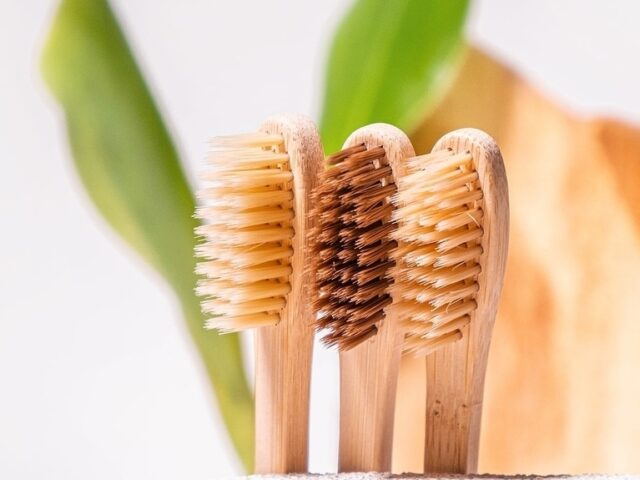EcoLuxe Products, Sustainable, Sustainability, dental, bamboo toothbrush, Chanelle Dupre