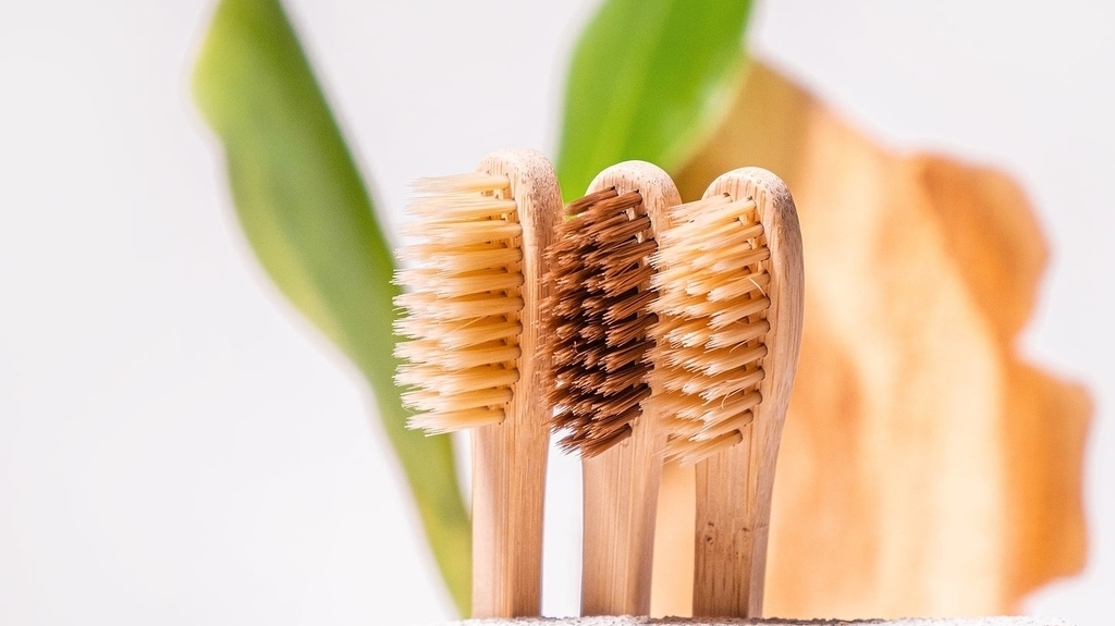 EcoLuxe Products, Sustainable, Sustainability, dental, bamboo toothbrush, Chanelle Dupre