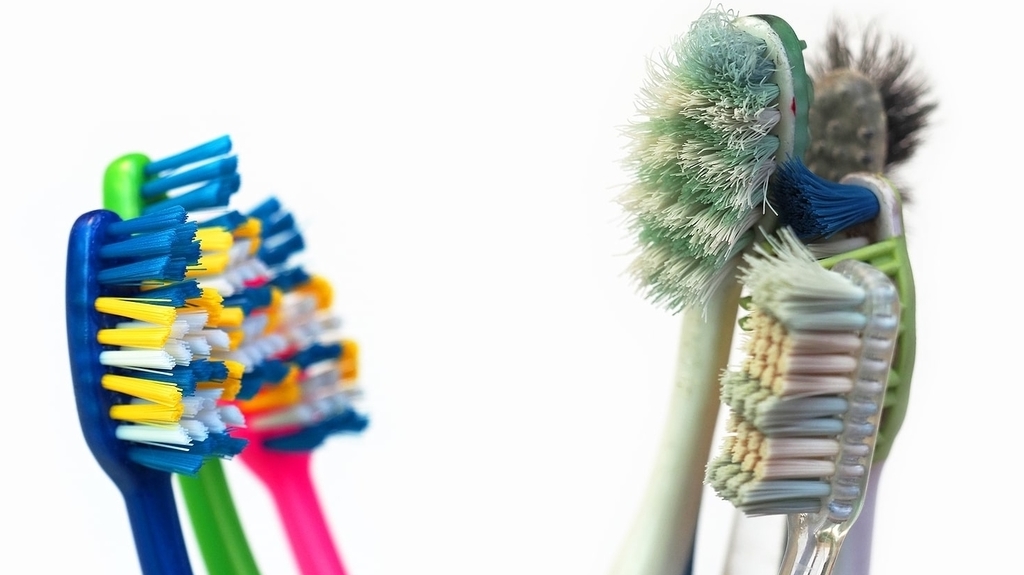 EcoLuxe 1024x575 Dental 4