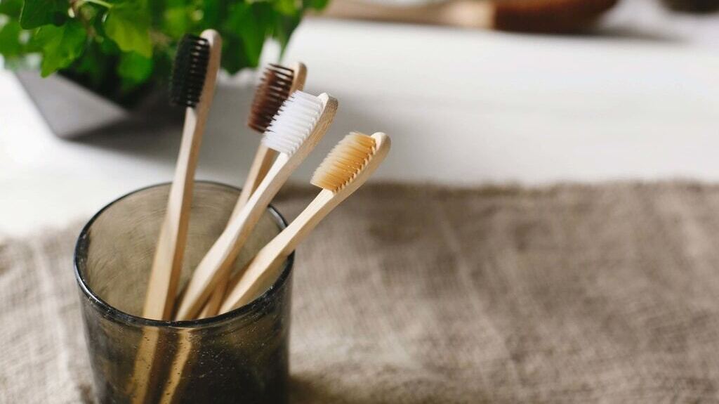 plastic toothbrush, dental, ecofriendly, chanelle dupre