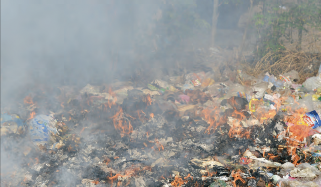 plastic toothbrush, dental, ecofriendly, chanelle dupre