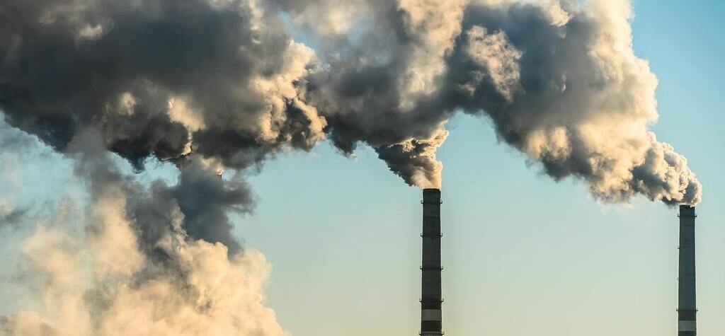 Choosing Bamboo Products can Mitigate Climate Change