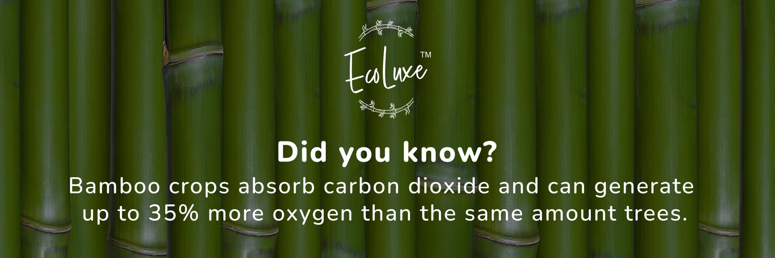 EcoLuxe EcoGift Camping Mess Ecofriendly bamboo Gift