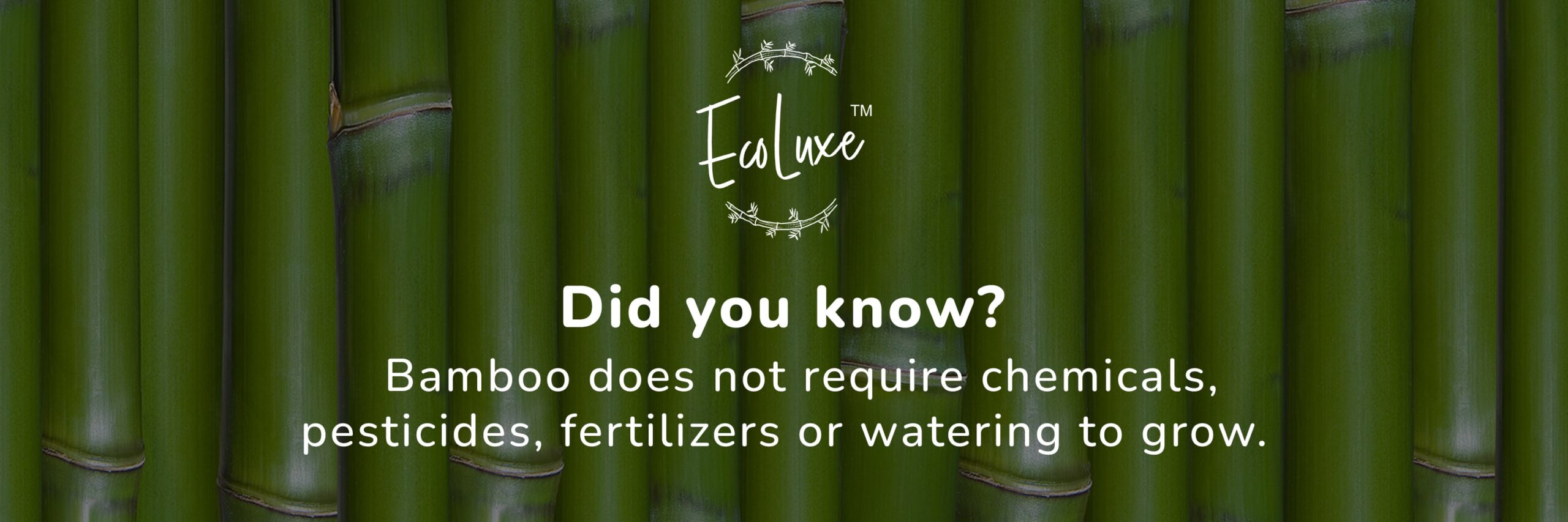 EcoFriendly Sustainable EcoLuxe personal care gift