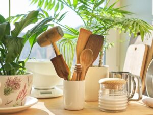 sustainable living kitchen