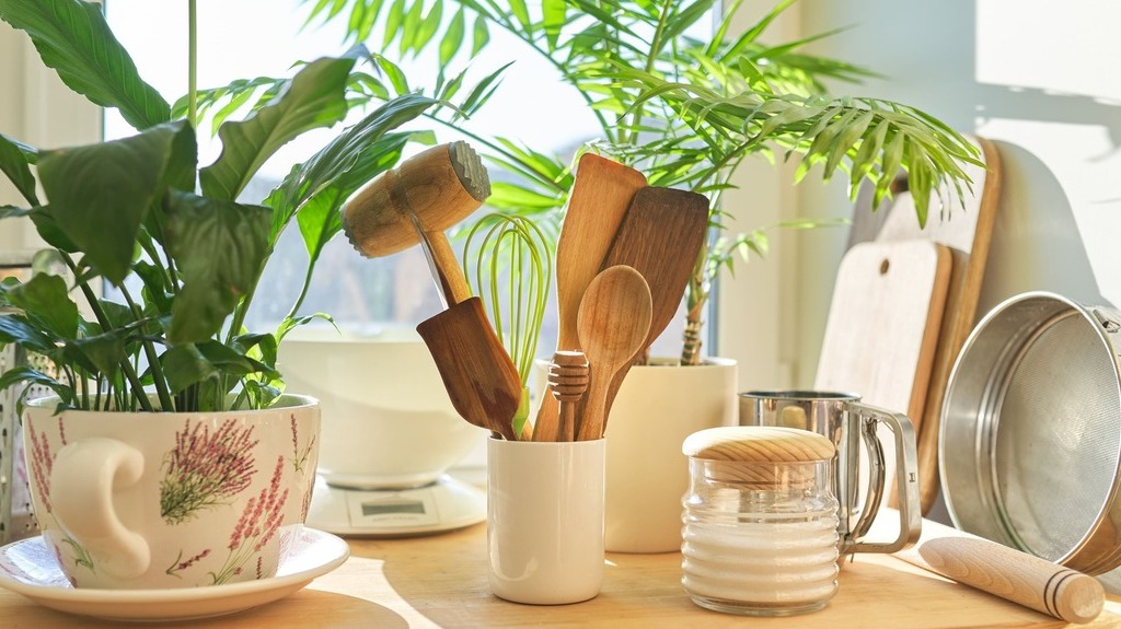 sustainable living kitchen