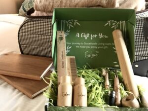 traveler sustainable travel