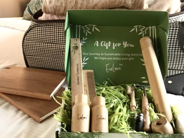 traveler sustainable travel