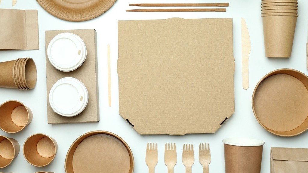 traveler sustainable travel