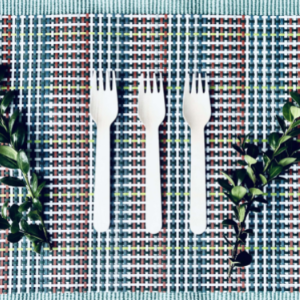 bamboo biodegradable compostable cutlery fork