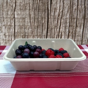 -compartment-square-large