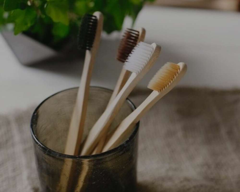 PROFESSIONAL SERVICES