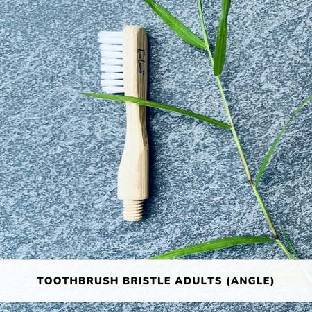 bamboo toothbrush plant based bristle adult organic sustainable