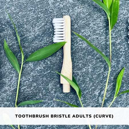 bamboo toothbrush plant based bristle adult organic sustainable