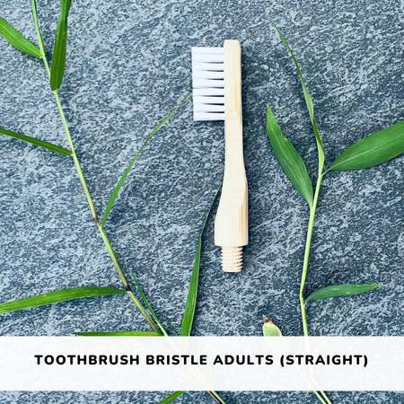 bamboo toothbrush plant based bristle adult organic sustainable