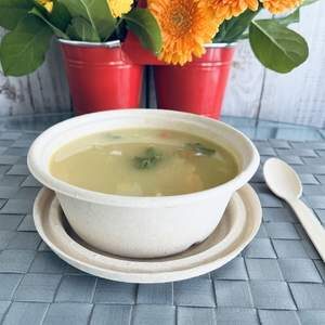 450 ml salad soup compostable bowl