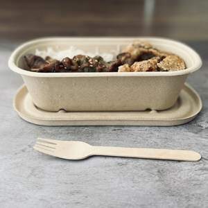 1000 ml oblong compostable container food