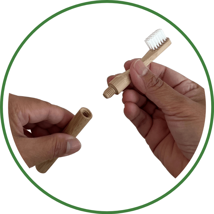 bamboo toothbrush ecofriendly biodegradable dental ecoluxe