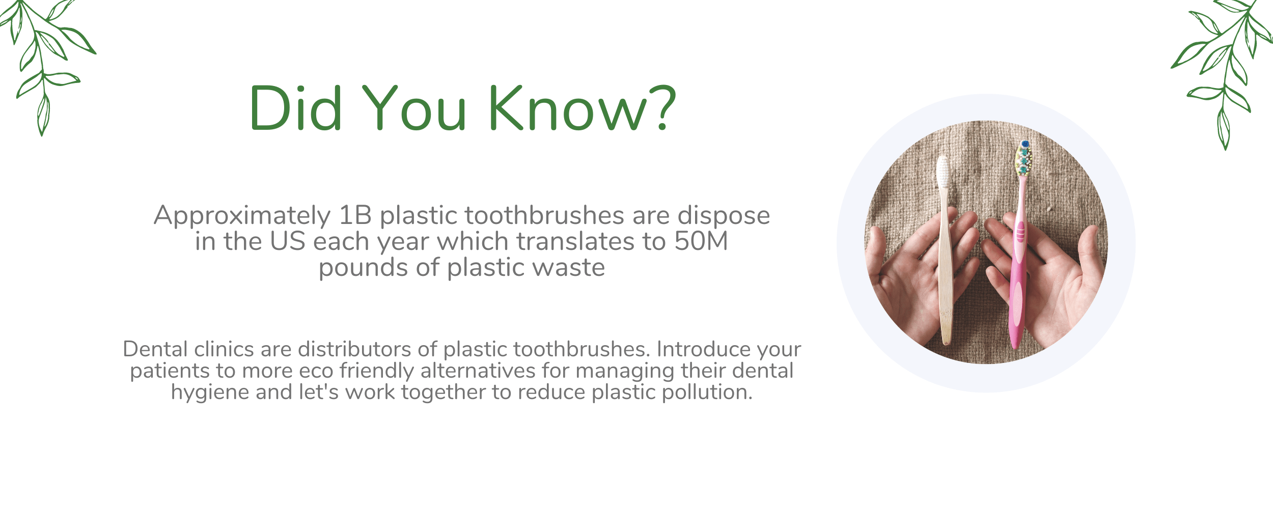 Ecoluxe Product Dental Bamboo Chanelle Dupre 1 min