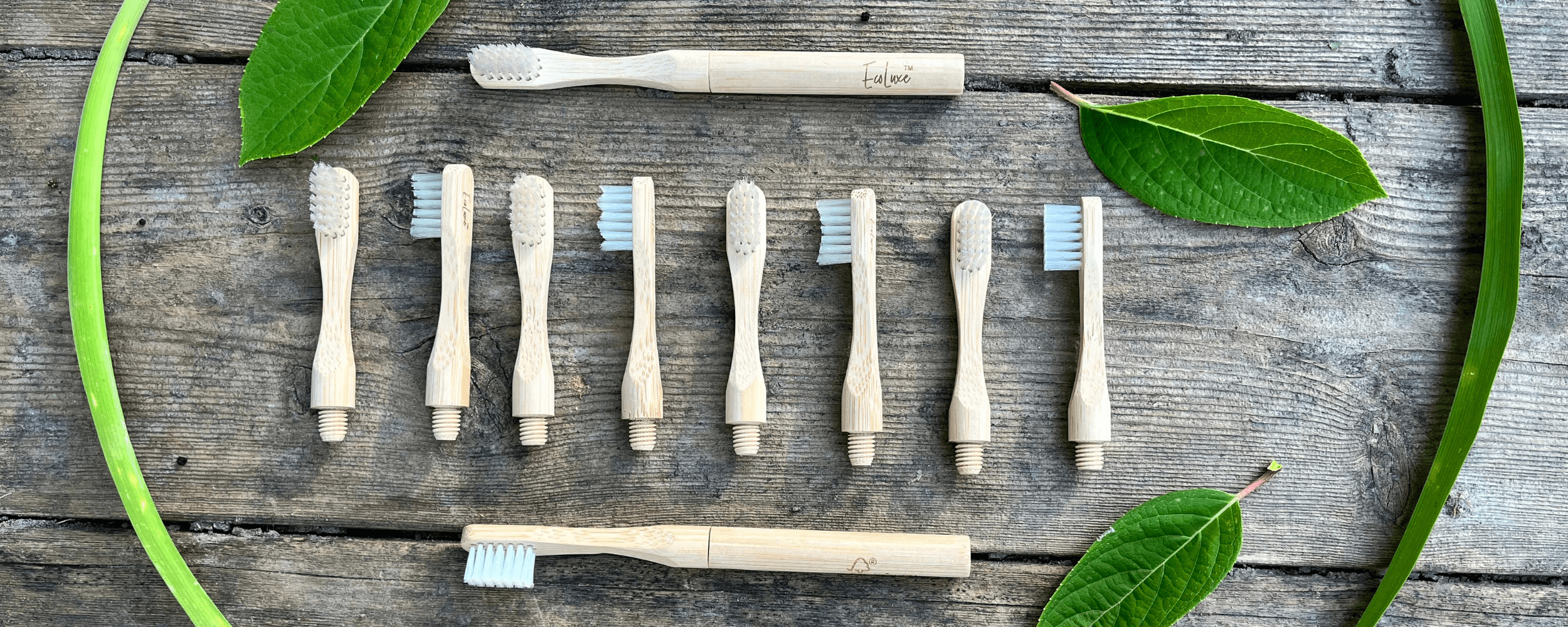Bamboo bristle toothbrush organic bristle dental oral care