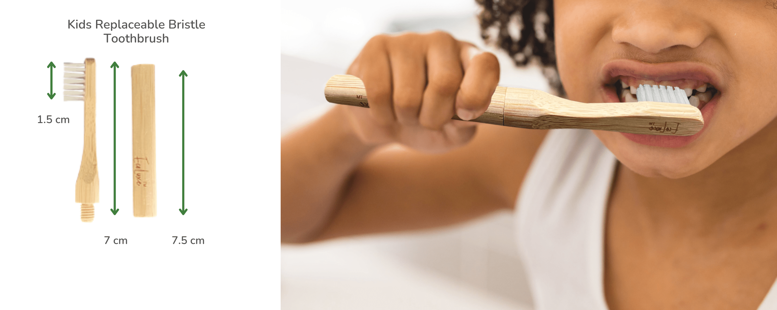 bamboo dental toothbrush ecoluxe