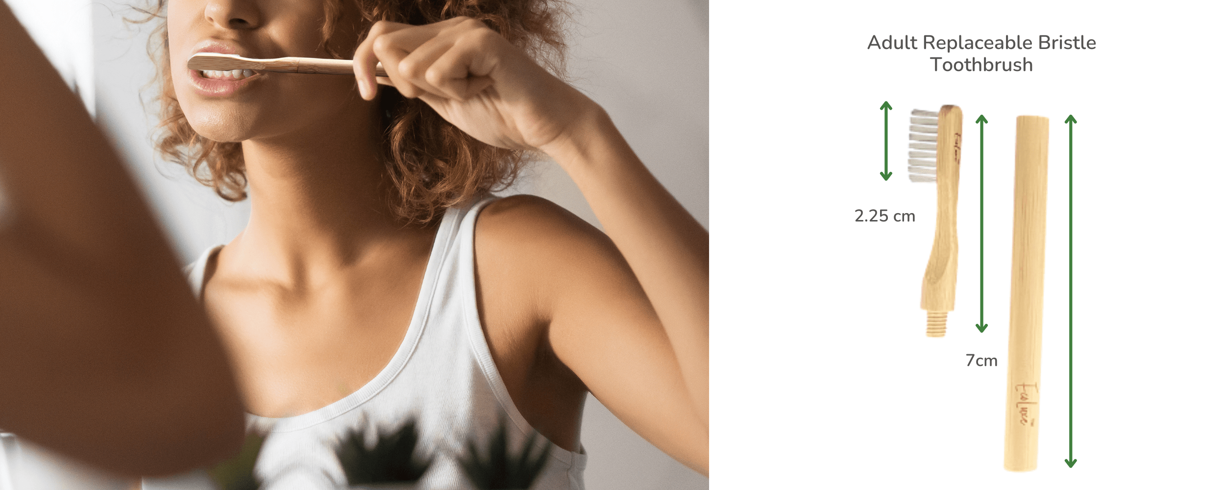 bamboo dental toothbrush ecoluxe