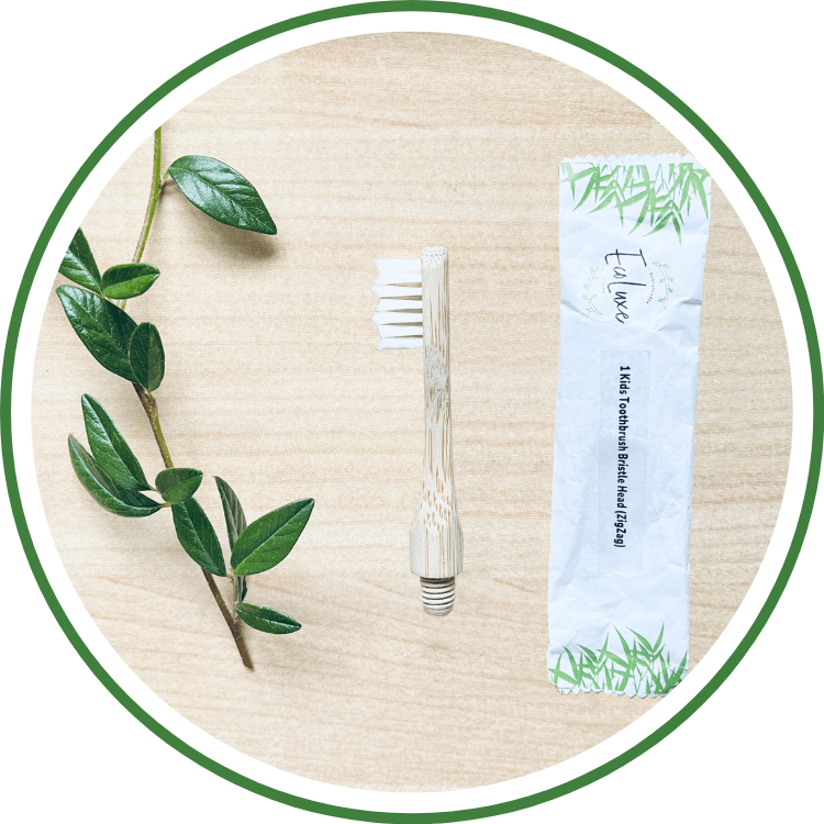 Bamboo toothbrush bristle biodegradable ecofriendly ecoluxe dental